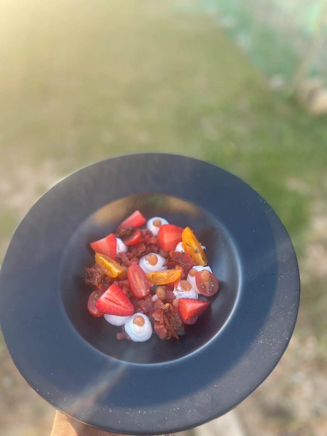 IMG_7141.jpg IMG_7141.jpg