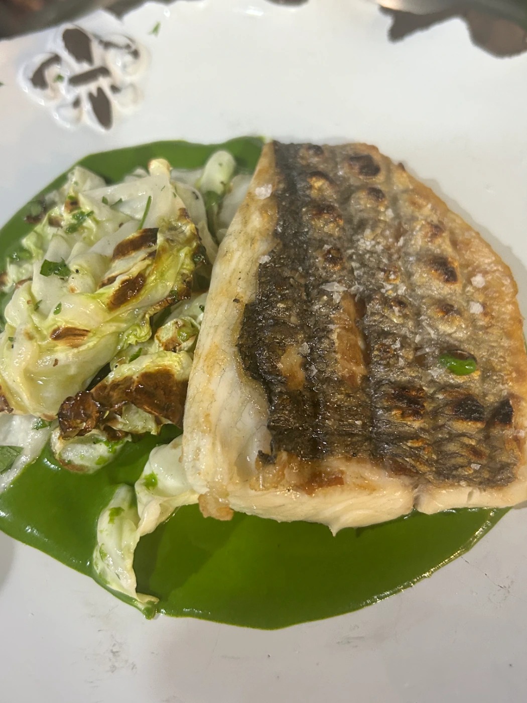 IMG_3832.jpg IMG_3832.jpg