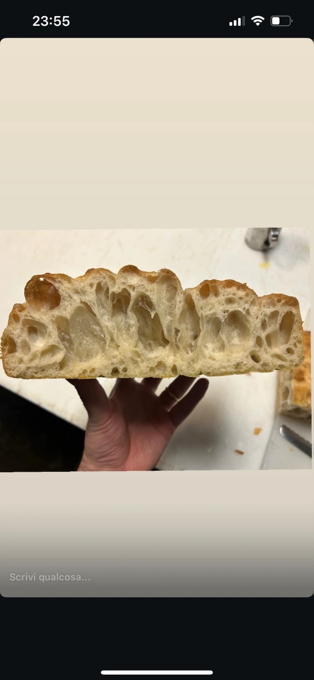 IMG_3474.PNG IMG_3474.PNG