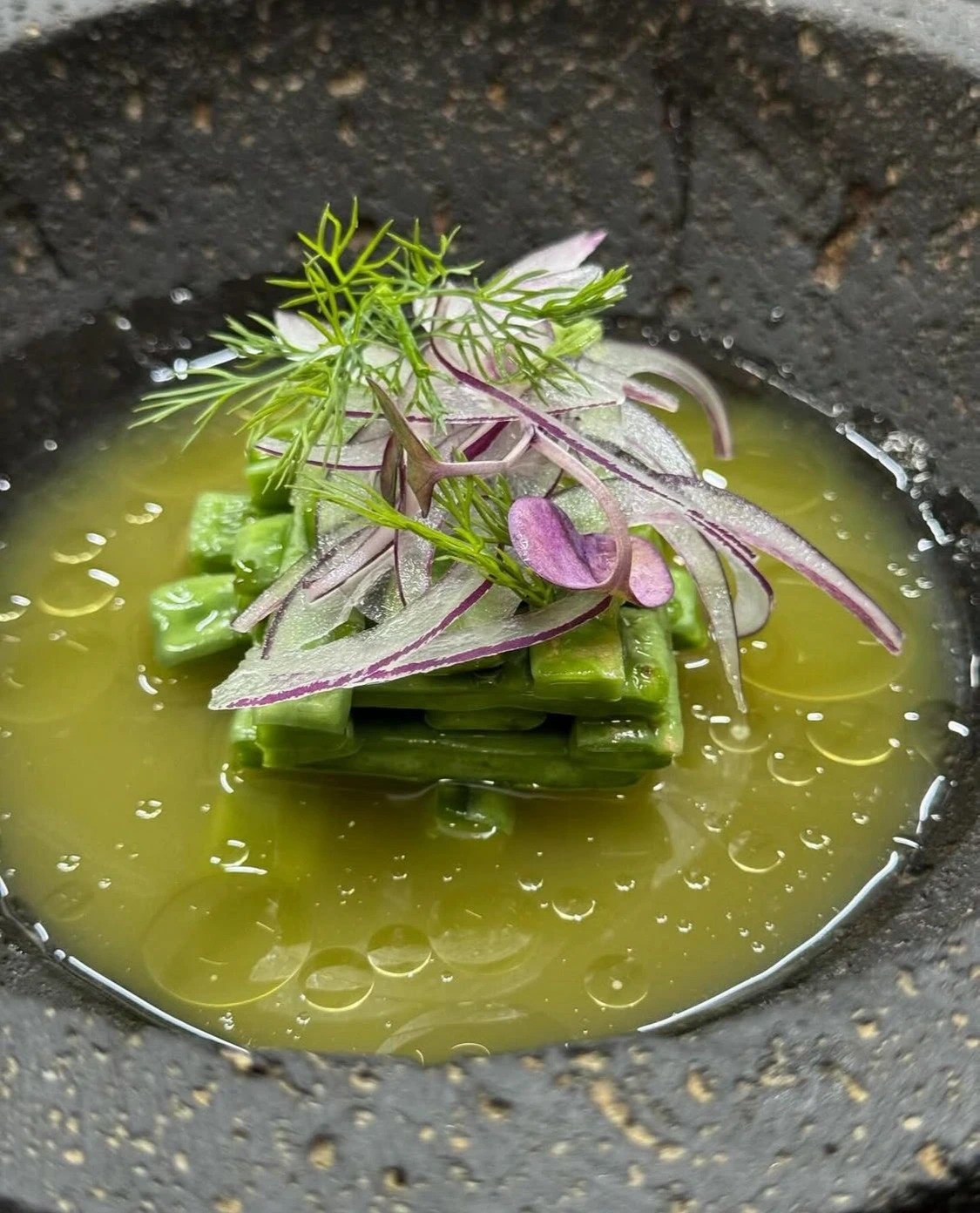 ceviche de nopales curados.jpg