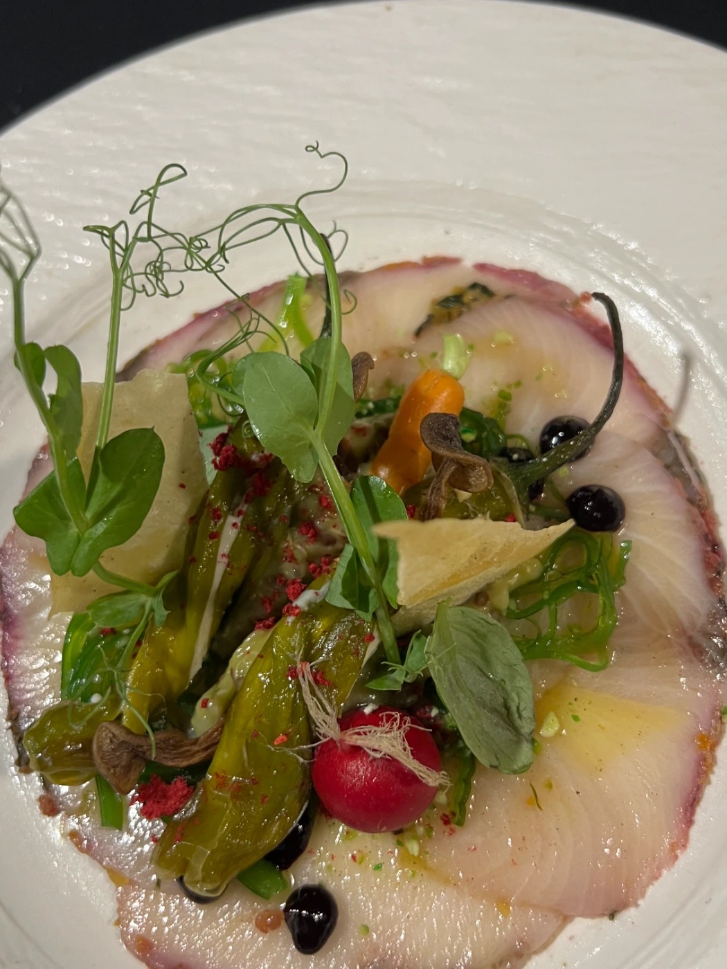 1D472612-6E5D-43D2-A6E3-4496E3CABB7B.JPG 1D472612-6E5D-43D2-A6E3-4496E3CABB7B.JPG