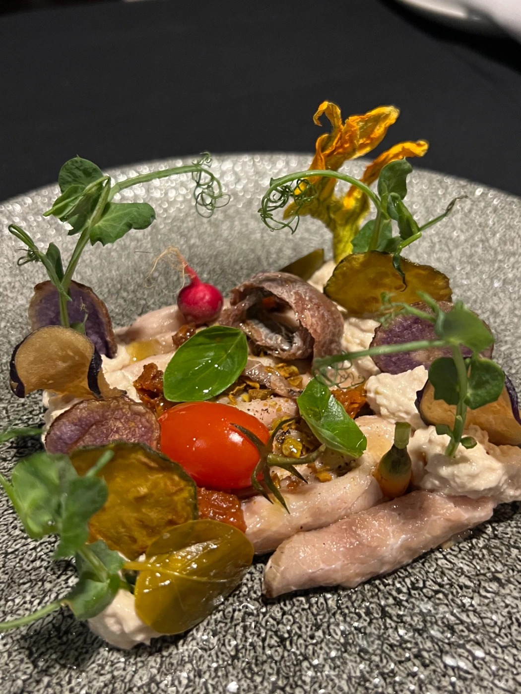 IMG_1237.jpg IMG_1237.jpg