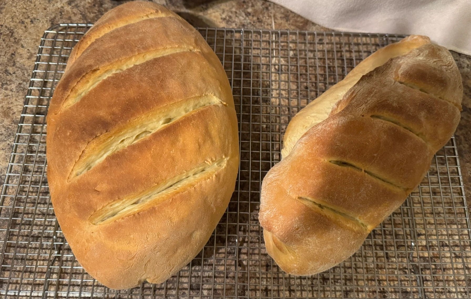 fresh_bread.jpg fresh_bread.jpg