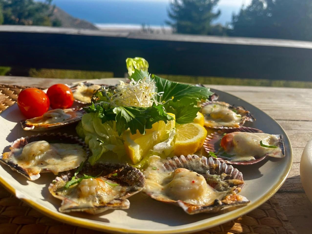 WhatsApp Image 2025-07-21 at 15.05.55 (1).jpeg