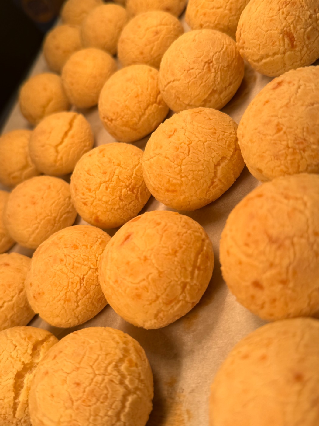 IMG_0582.jpeg IMG_0582.jpeg