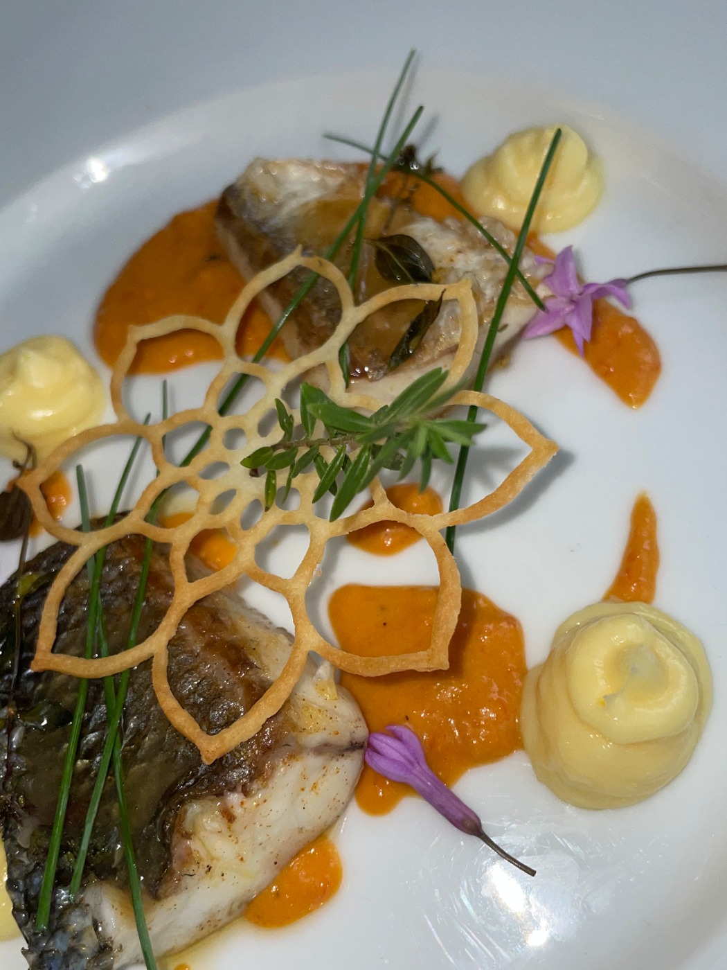 IMG_6239.jpeg IMG_6239.jpeg