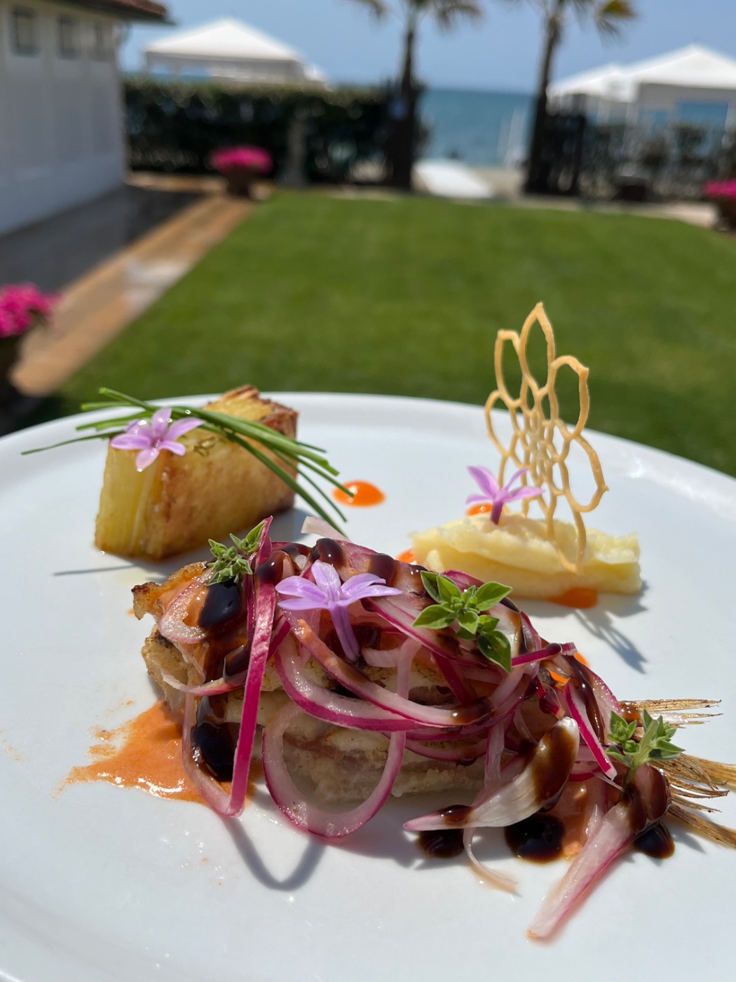 IMG_9779.jpeg IMG_9779.jpeg