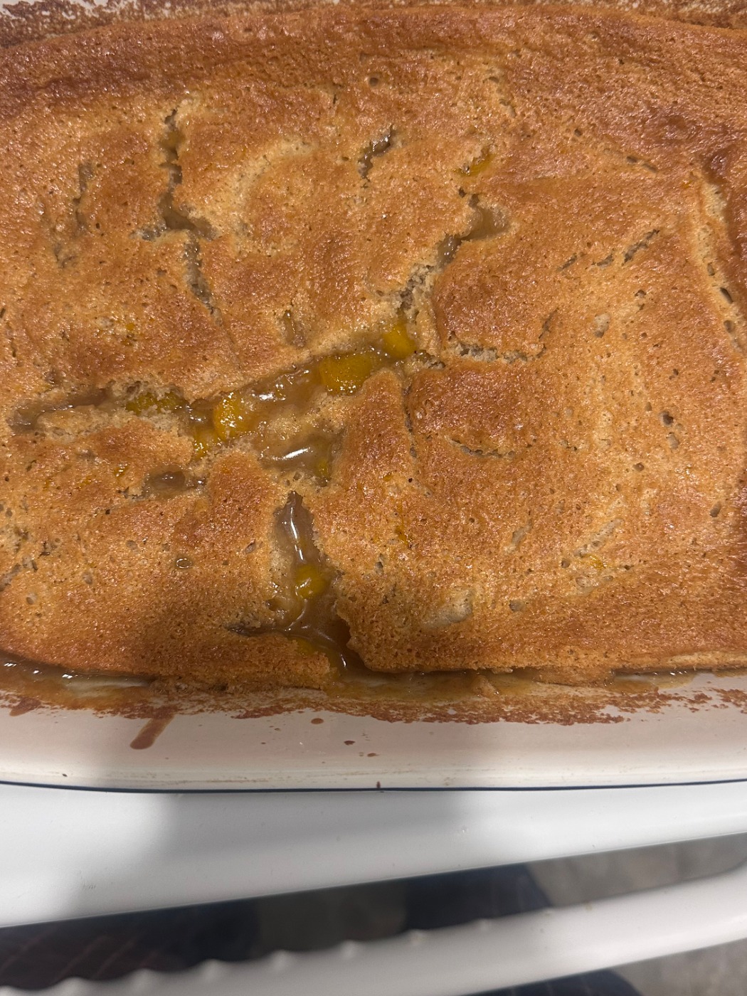 IMG_2461.jpeg IMG_2461.jpeg