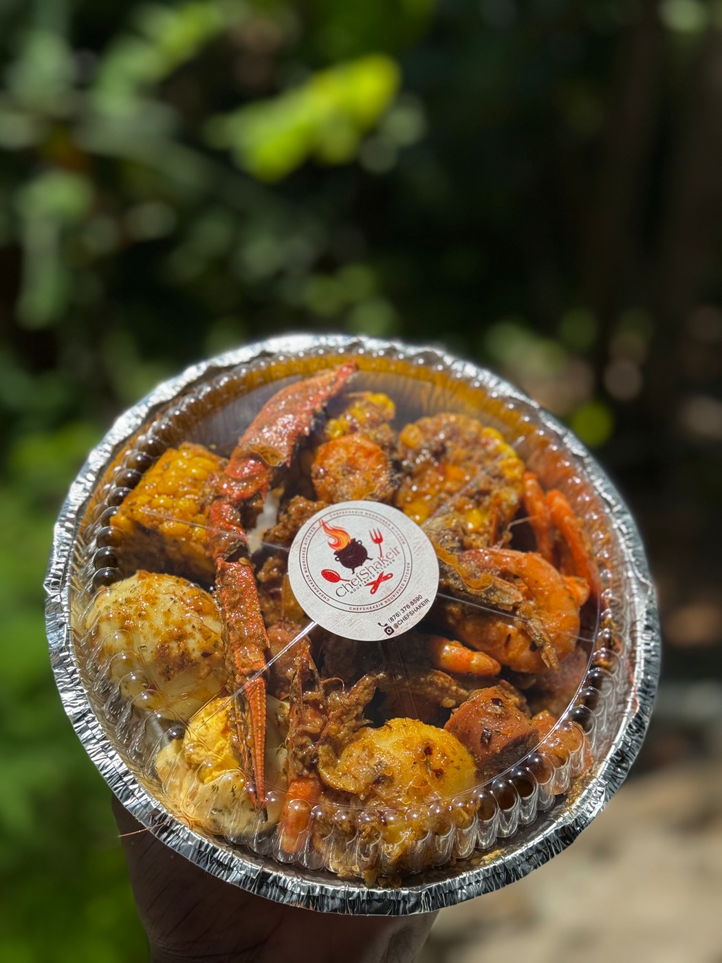 IMG_5855.jpeg IMG_5855.jpeg