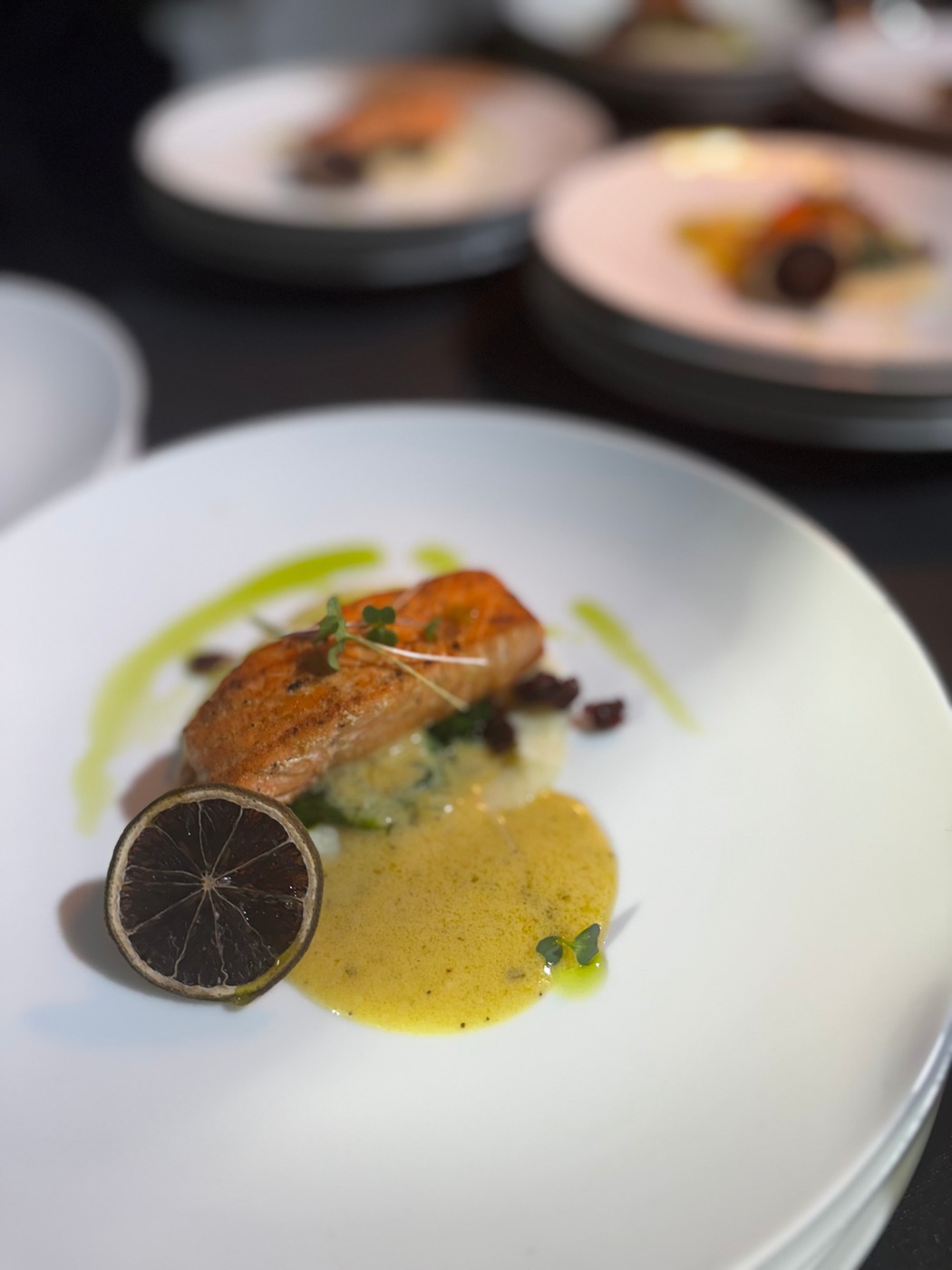 IMG_0224.jpeg IMG_0224.jpeg