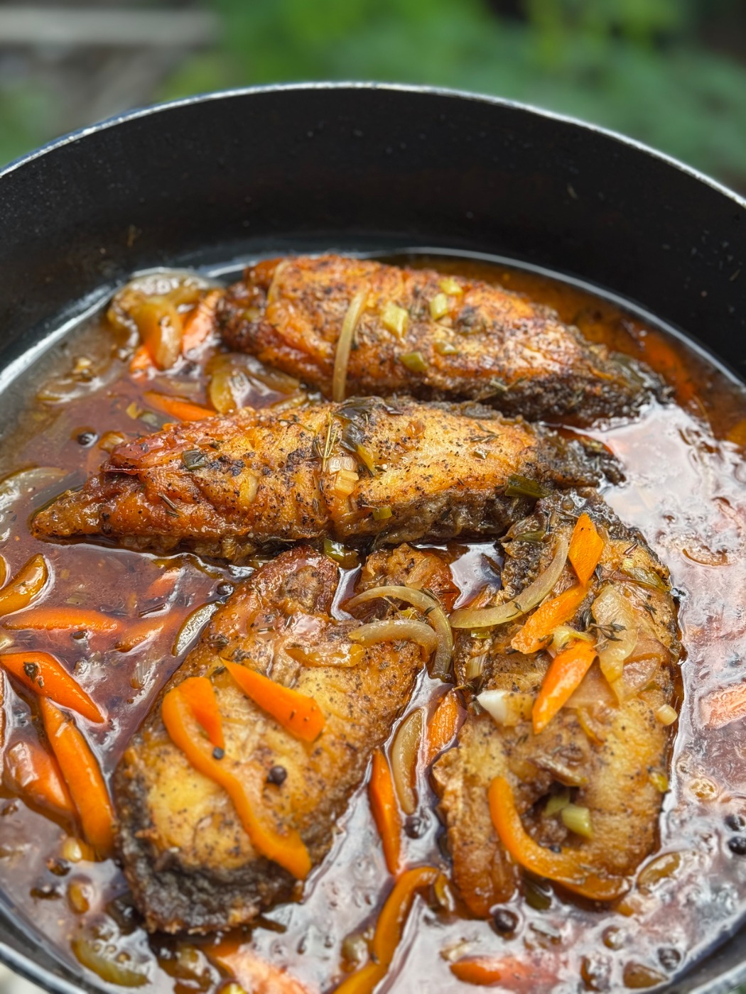 1010192.jpg 1010192.jpg