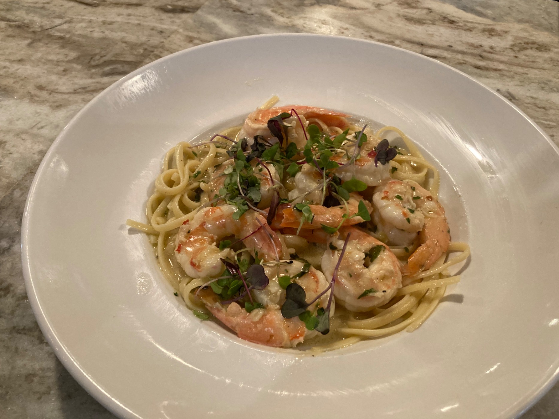 IMG_0436.jpeg IMG_0436.jpeg