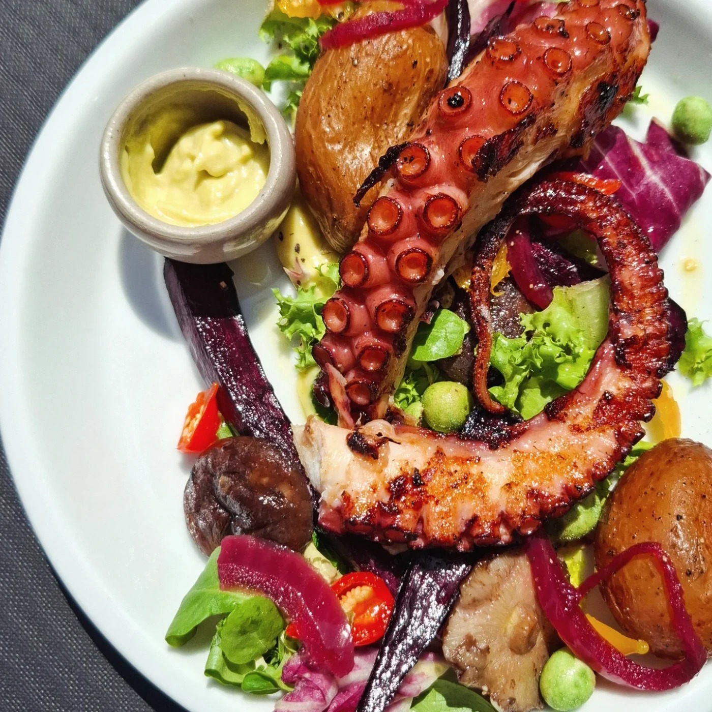 1000077509.jpg 1000077509.jpg