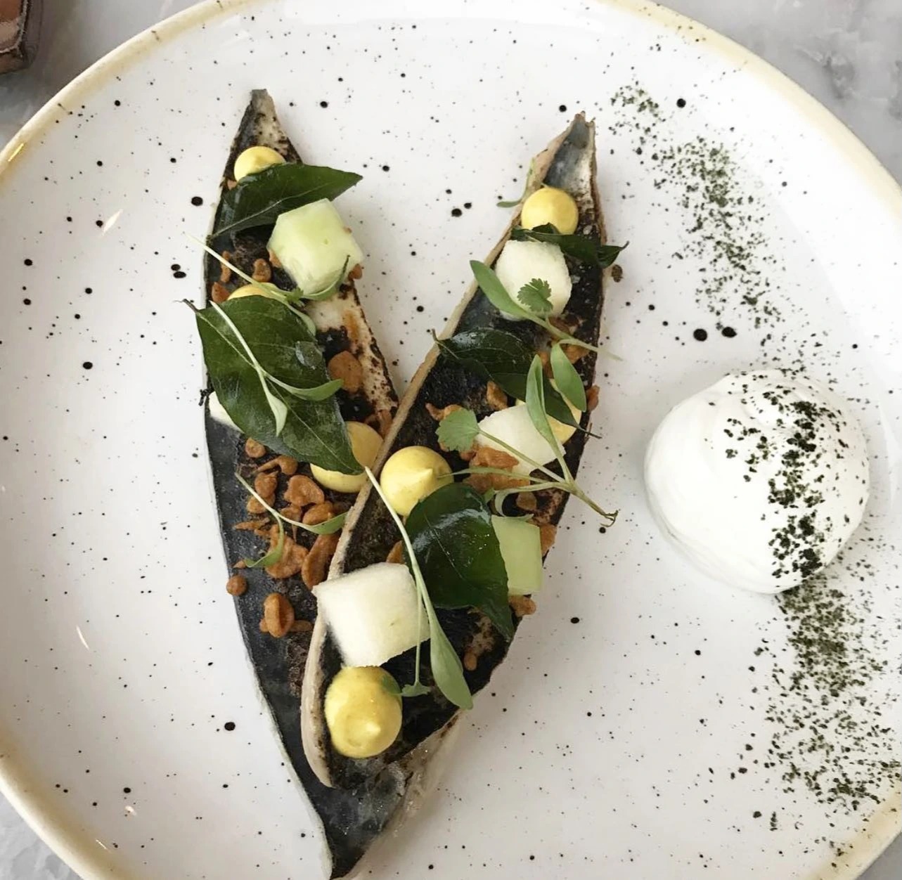 Mackerel.jpg Mackerel.jpg