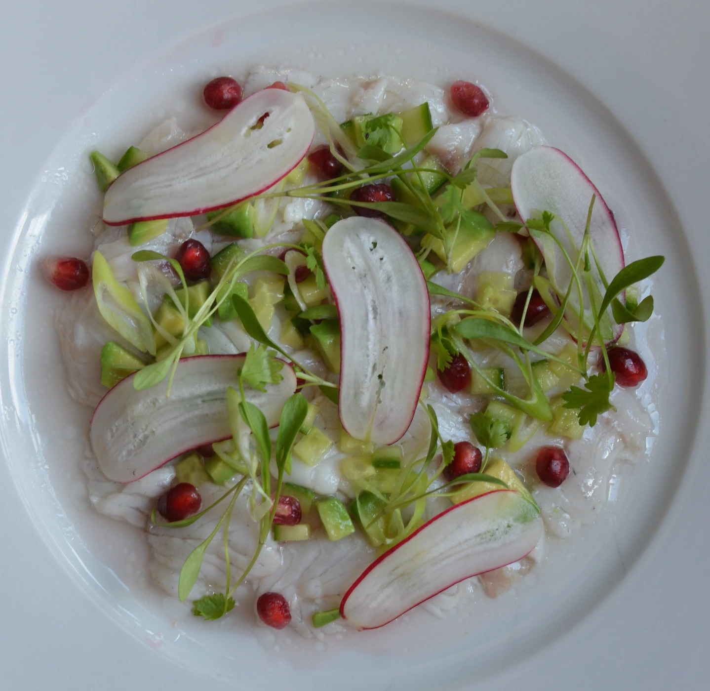 DSC_0166 (2).JPG DSC_0166 (2).JPG