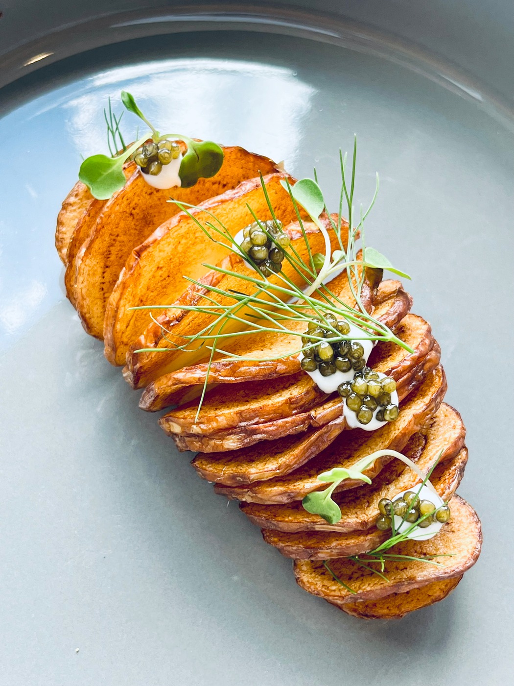 IMG_4647.jpeg IMG_4647.jpeg