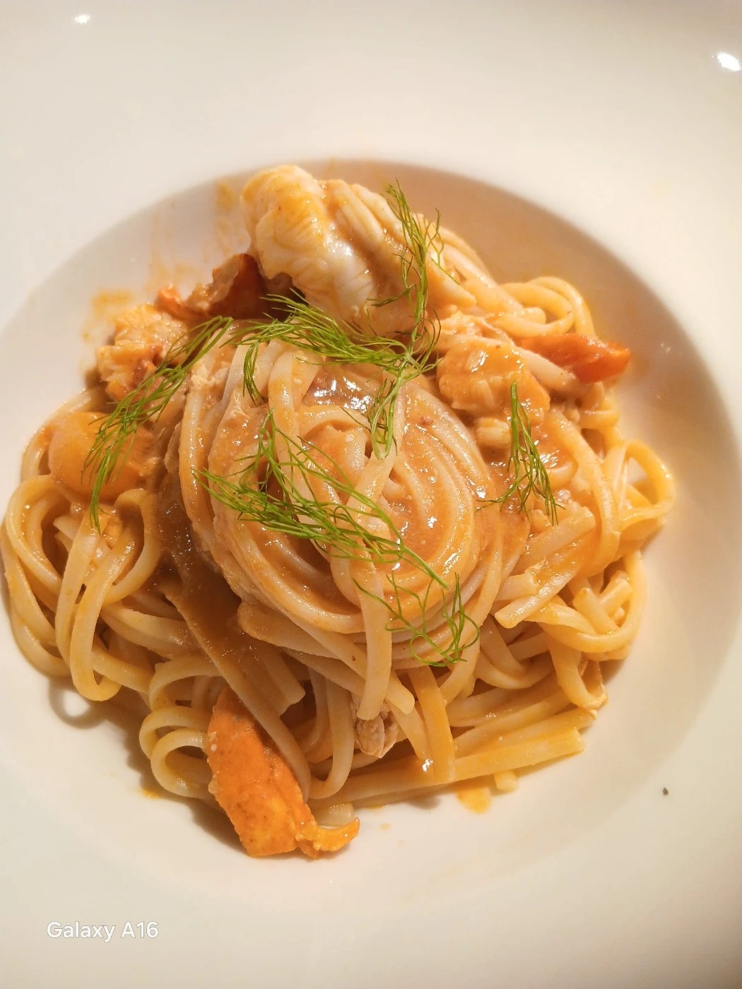 WhatsApp Image 2025-07-28 at 05.24.45 (1).jpeg