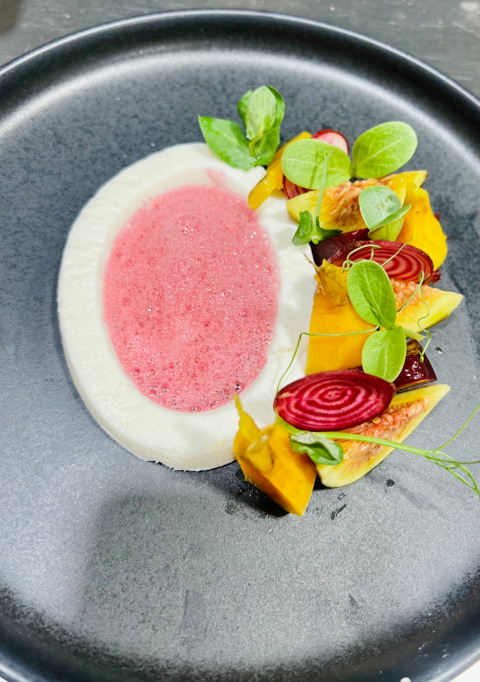 IMG_8810.jpeg IMG_8810.jpeg