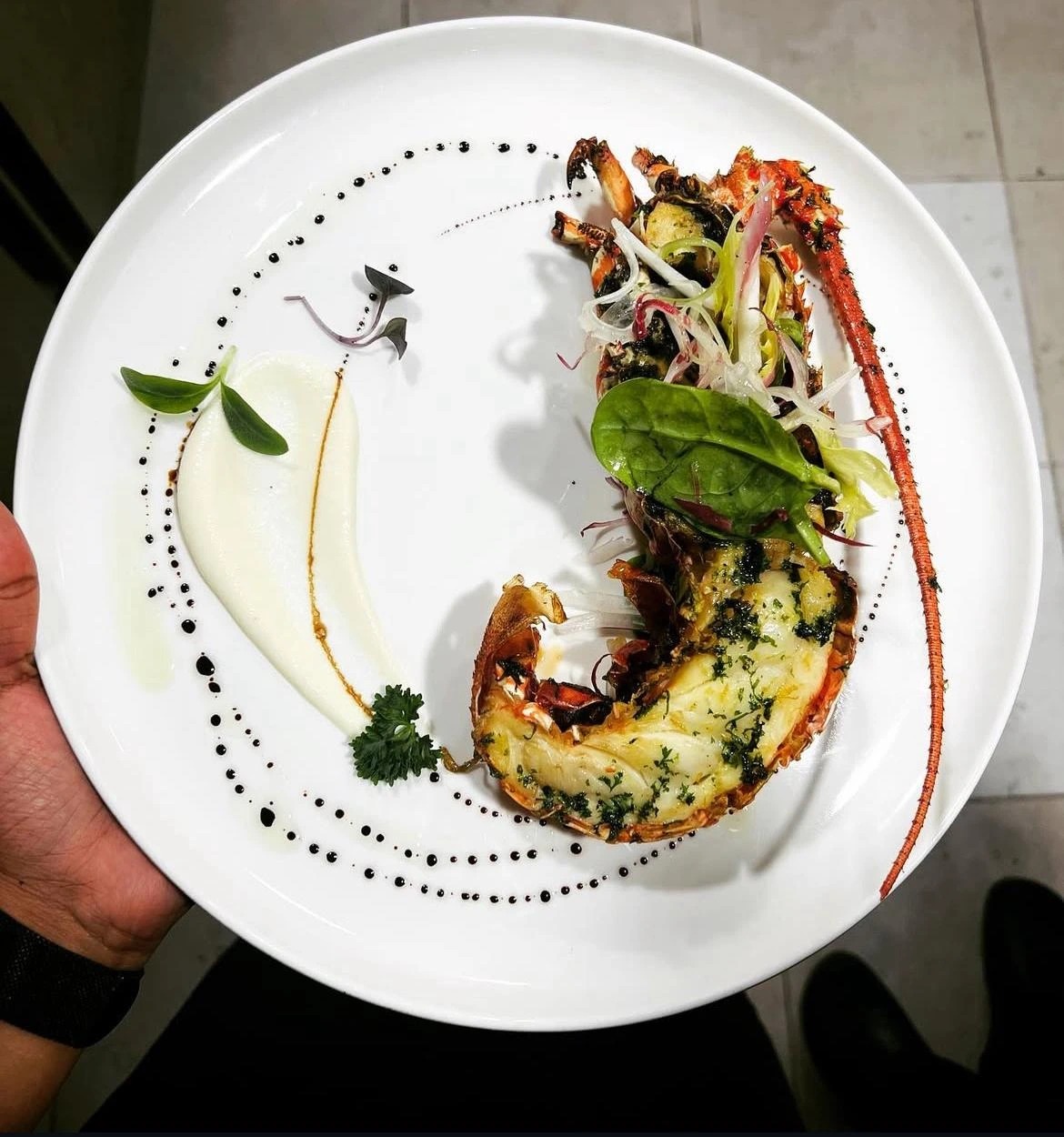 lobster.jpg lobster.jpg