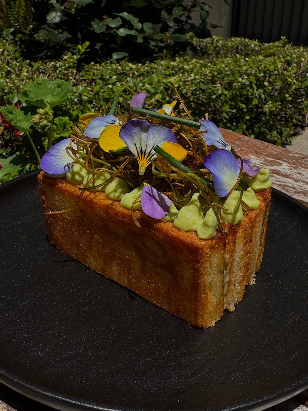 Tezza-9972.JPG Tezza-9972.JPG