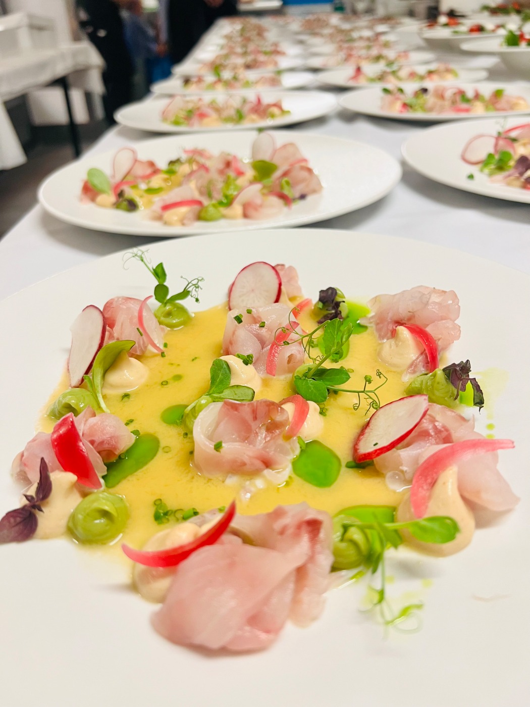 IMG_4108.jpeg IMG_4108.jpeg