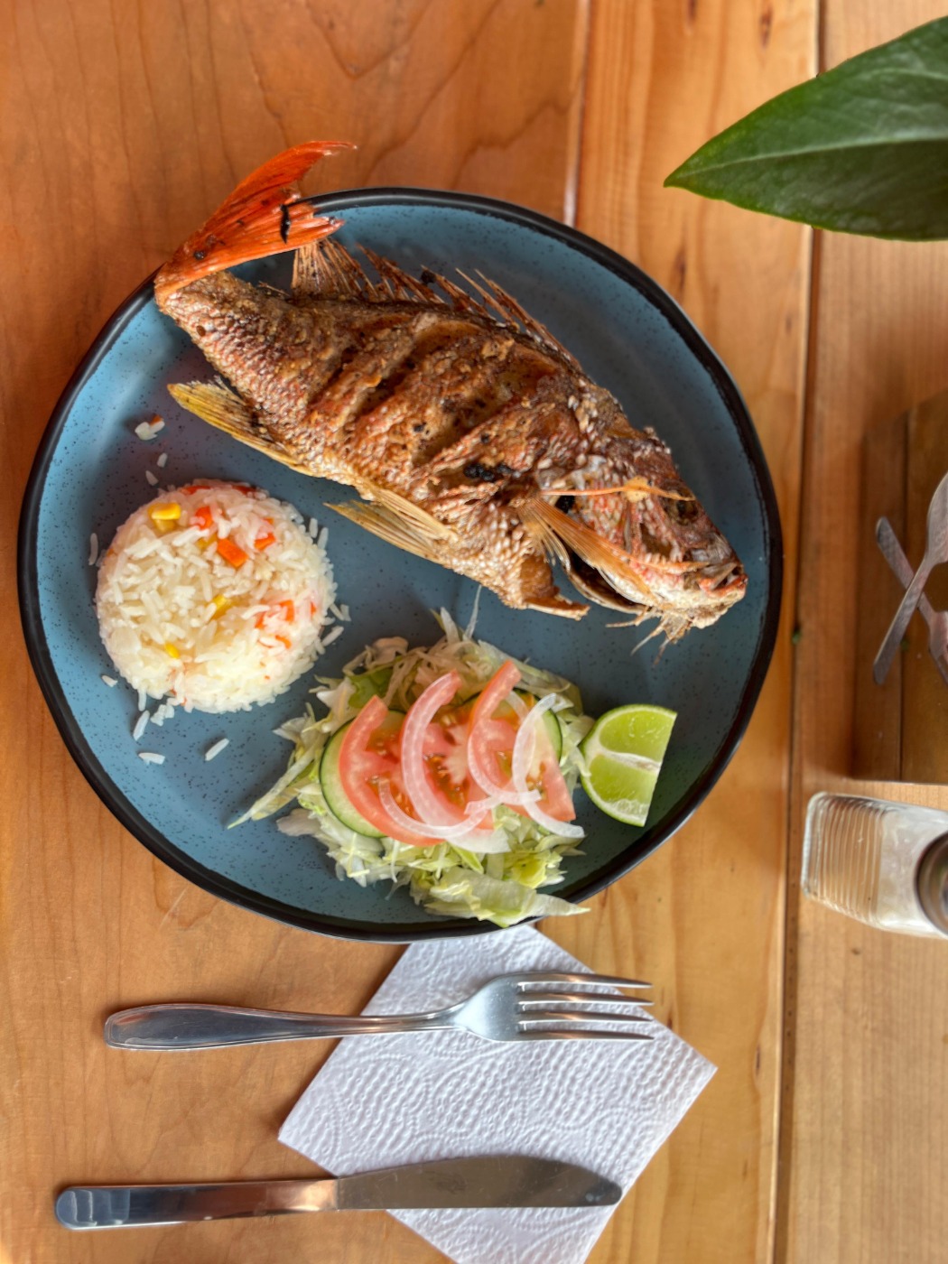 af8ceefb-82e2-456a-be95-0da66d4a26c1.jpeg af8ceefb-82e2-456a-be95-0da66d4a26c1.jpeg