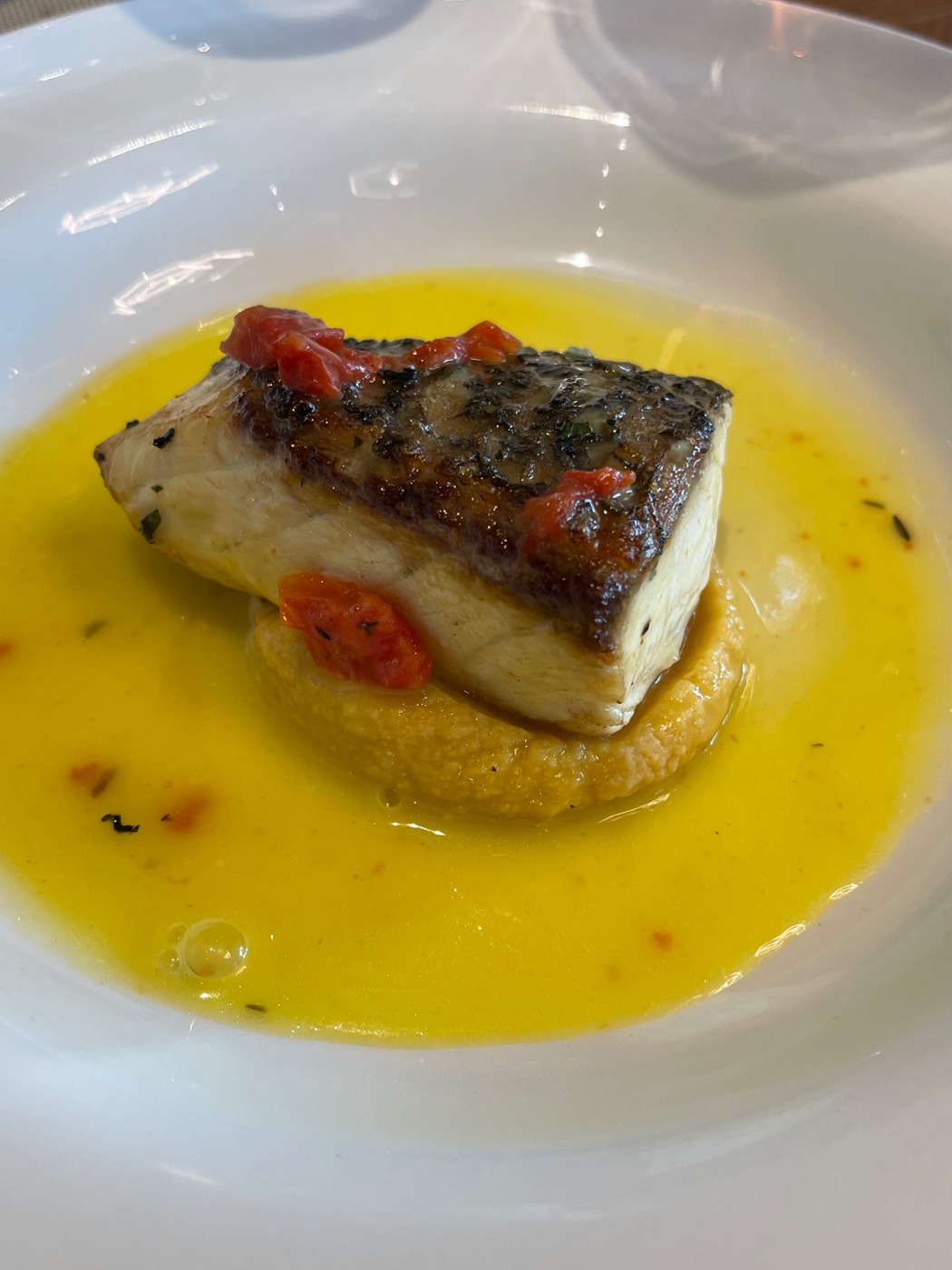 IMG_0711.jpeg IMG_0711.jpeg