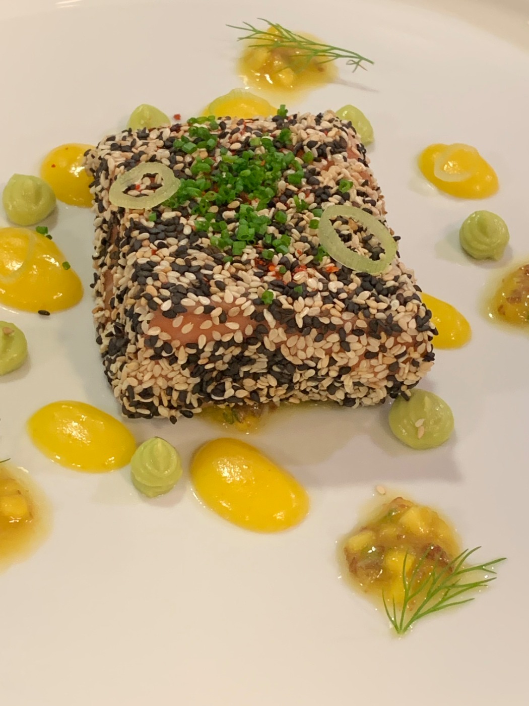 IMG_2511.jpeg IMG_2511.jpeg