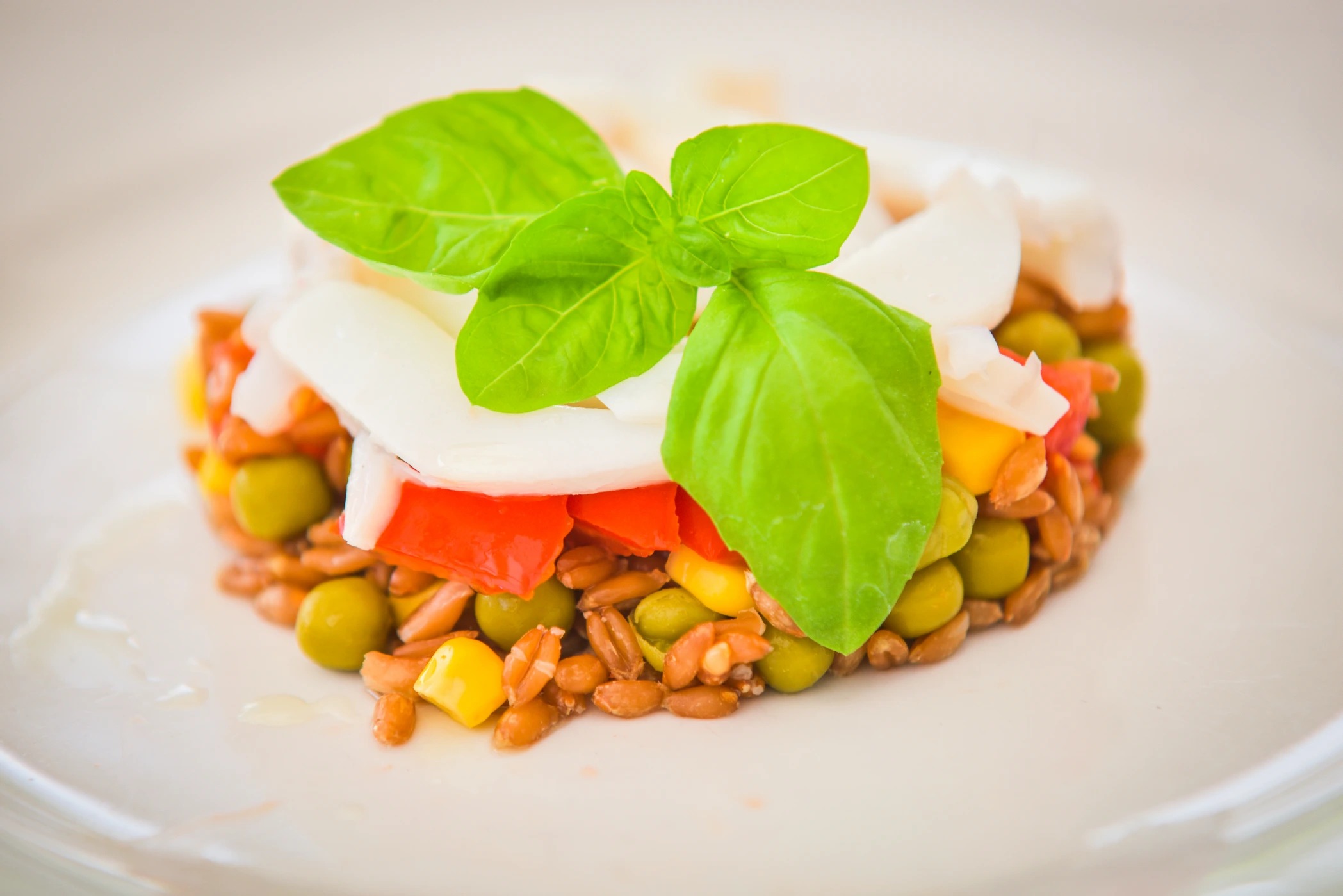 DSC_2382.jpg DSC_2382.jpg