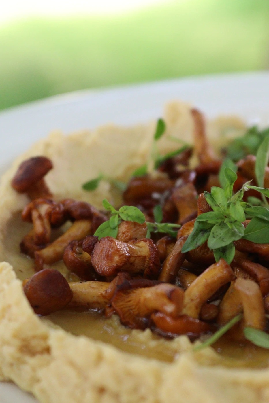 1000095758.jpg 1000095758.jpg