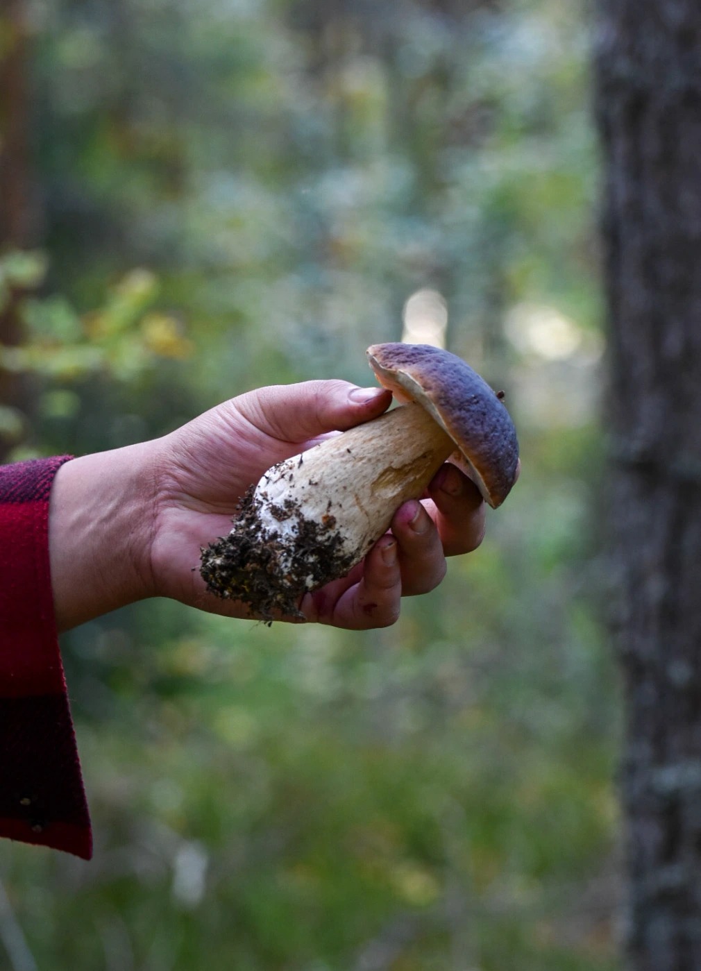 1000036067.jpg 1000036067.jpg