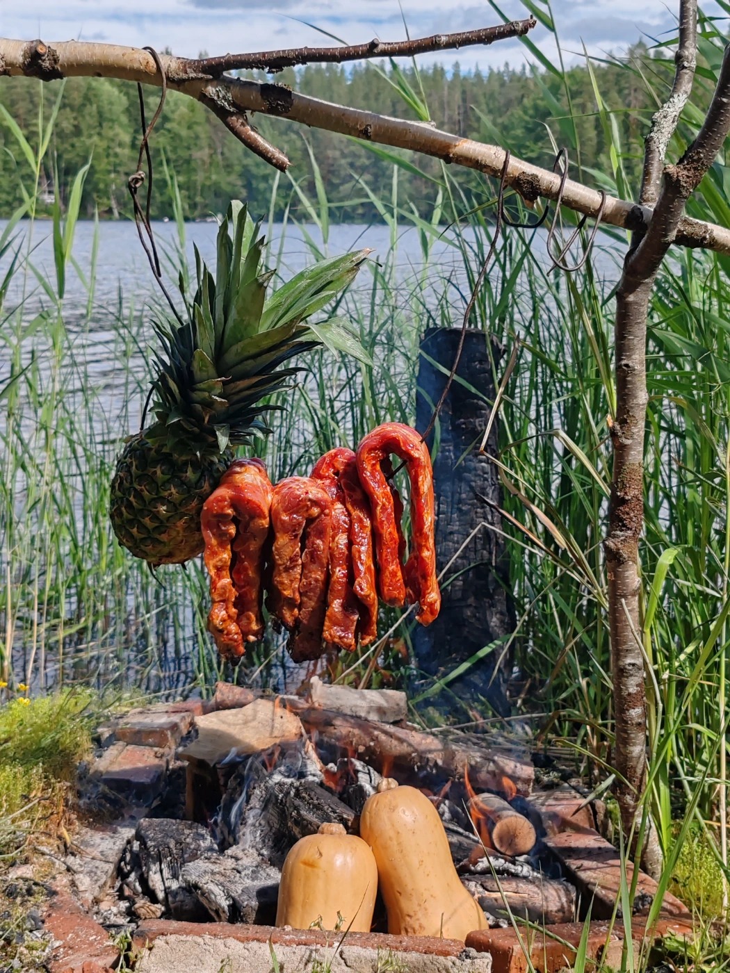 IMG_20240620_141209.jpg IMG_20240620_141209.jpg