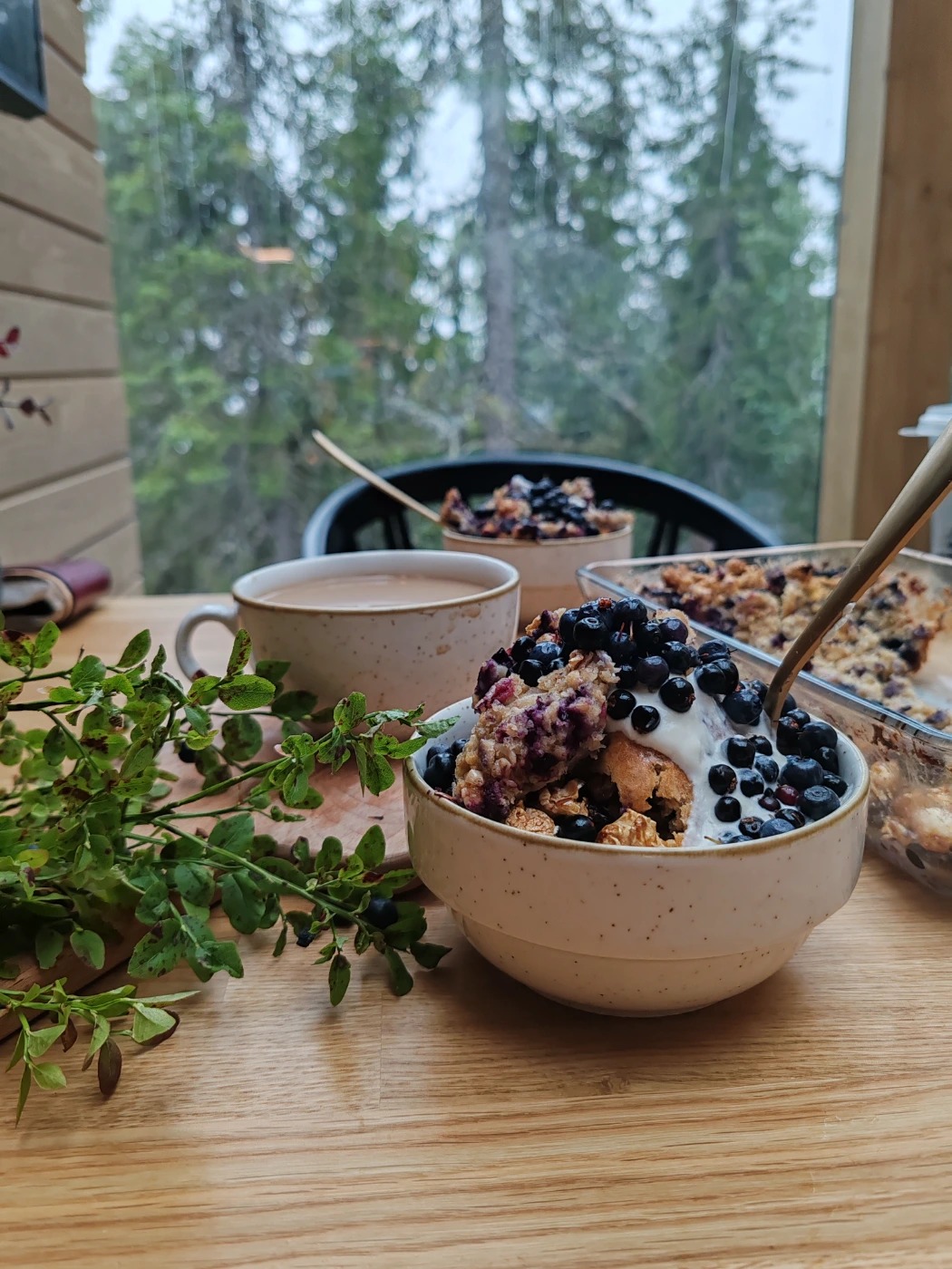 IMG_20240811_093824.jpg IMG_20240811_093824.jpg