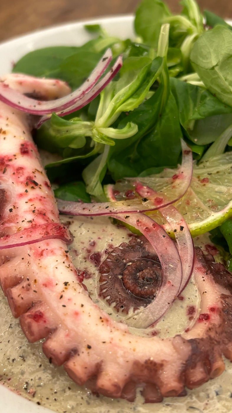 IMG_2345.jpeg IMG_2345.jpeg