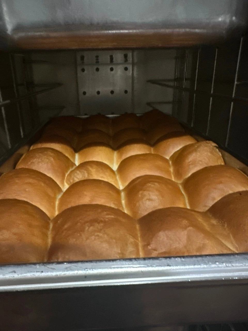 IMG_0744.jpg IMG_0744.jpg