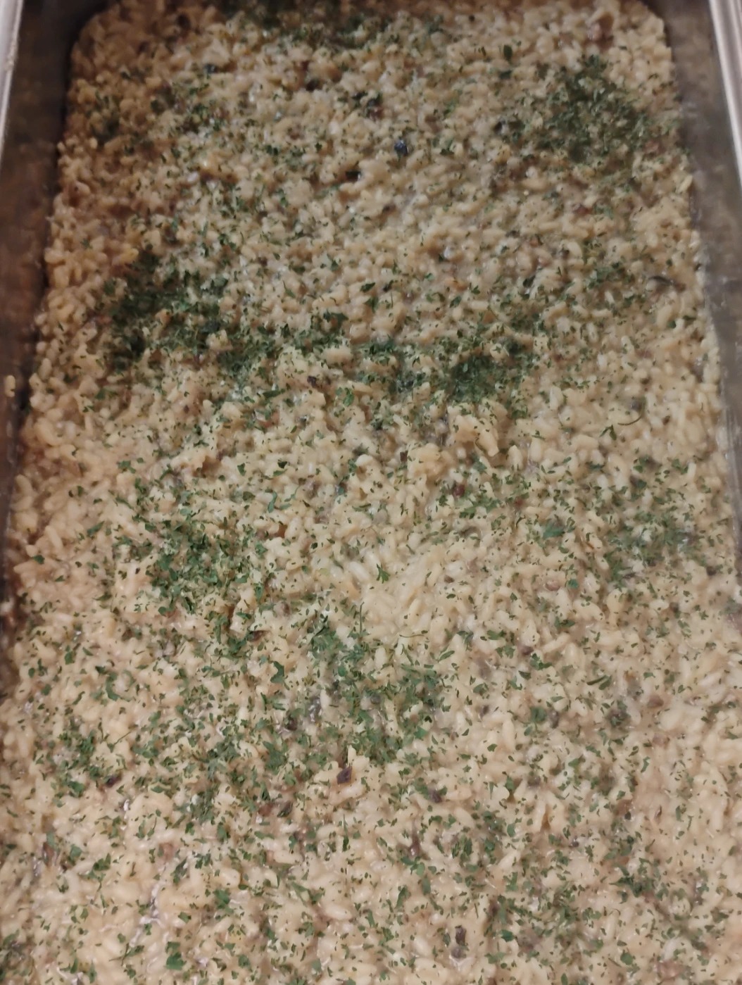 1000001462.jpg 1000001462.jpg