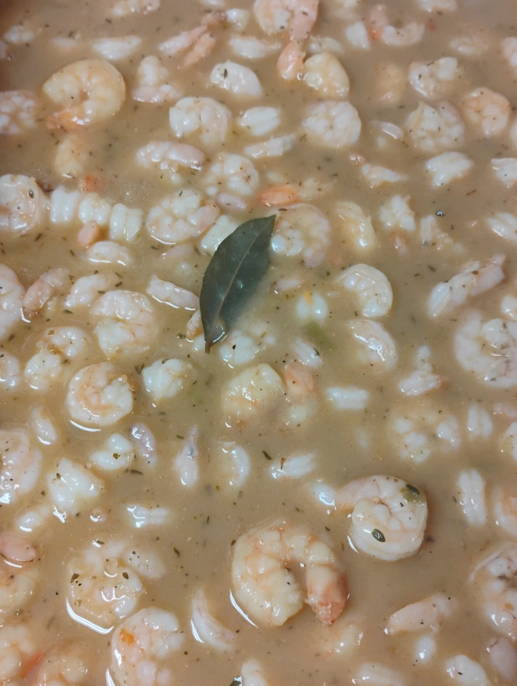 1000001469.jpg 1000001469.jpg