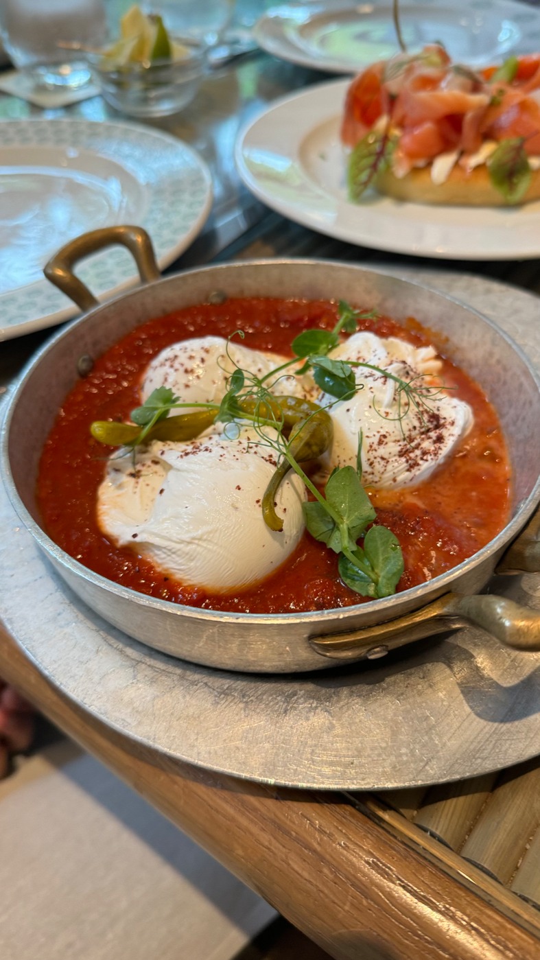 IMG_3755.jpeg IMG_3755.jpeg