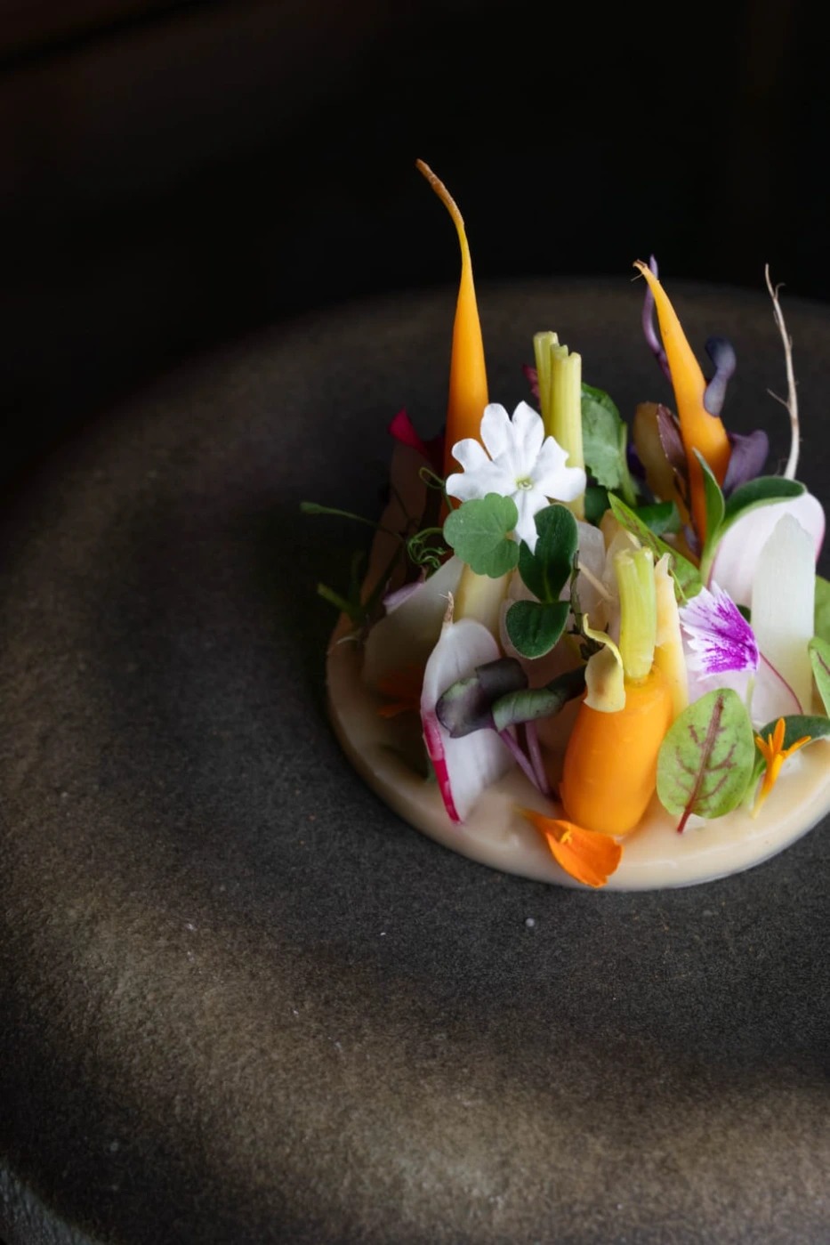 PHOTO-2025-08-05-15-46-09 6.jpg