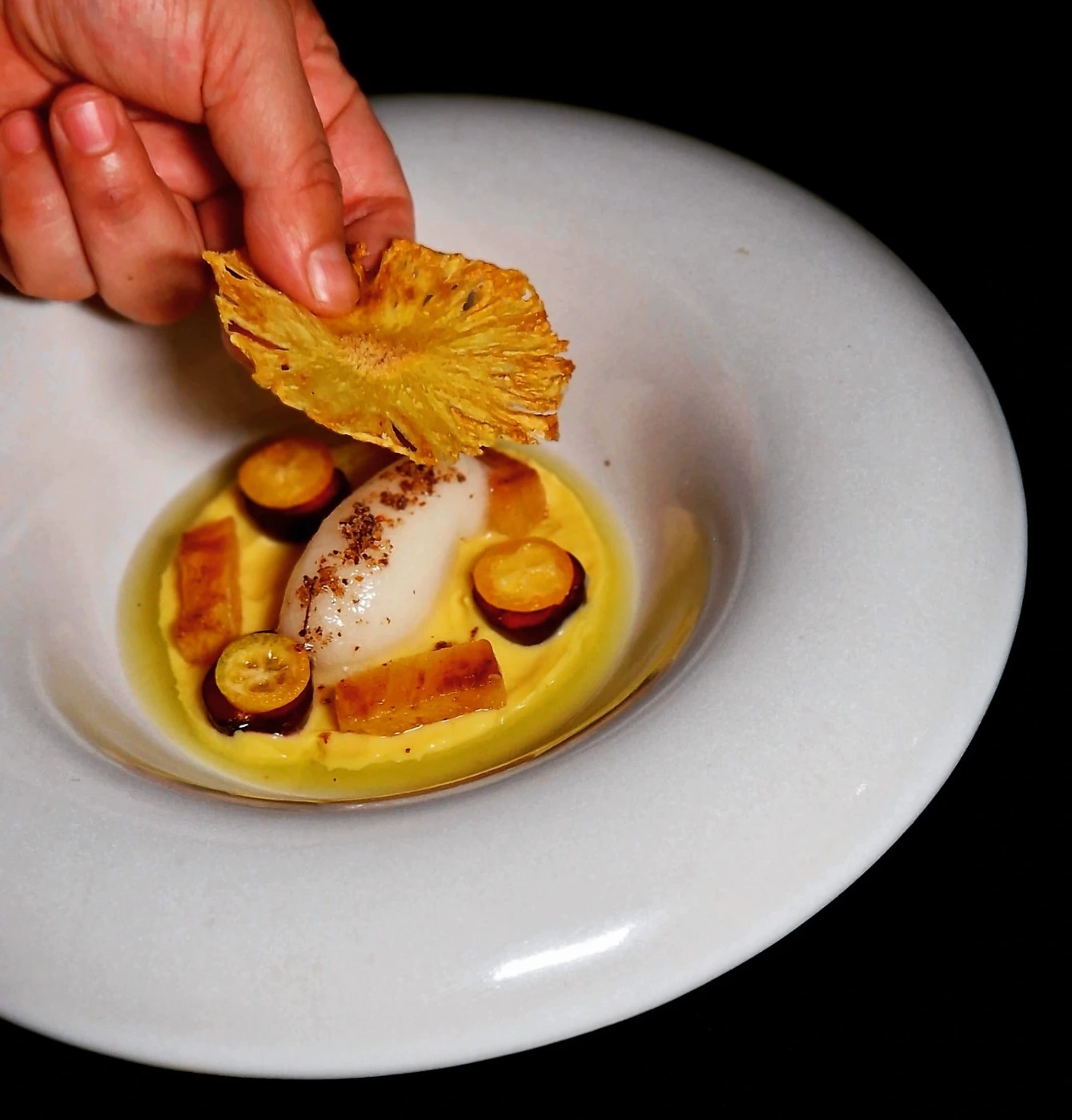 PHOTO-2025-08-05-15-46-09 7.jpg