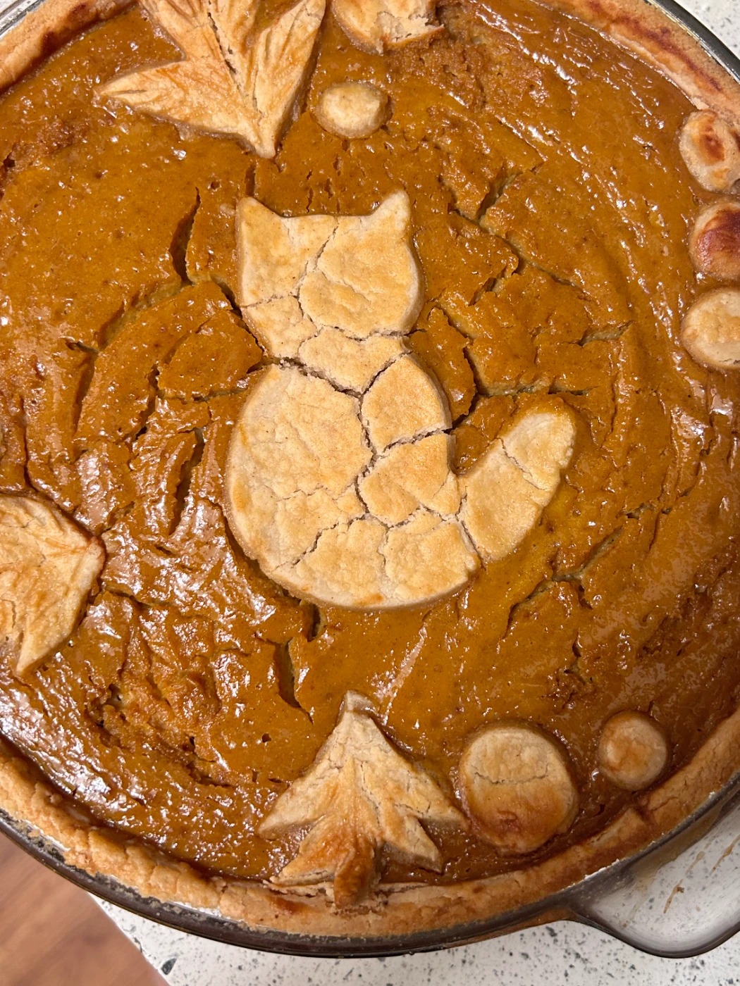 IMG_4500.jpg IMG_4500.jpg