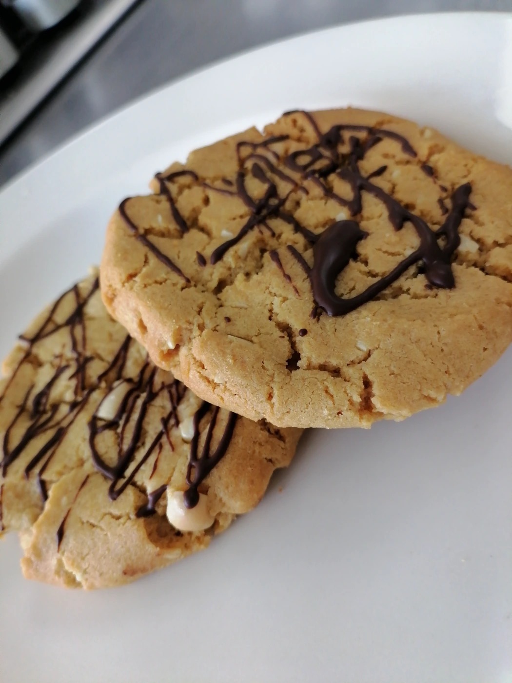 IMG_20250306_125405.jpg IMG_20250306_125405.jpg