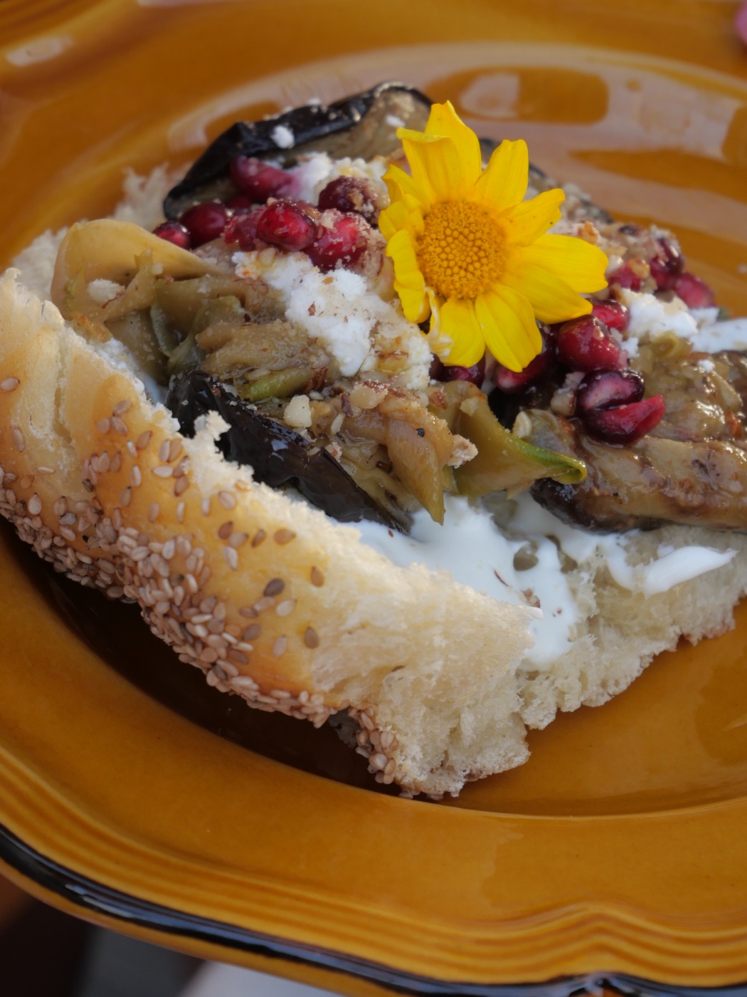 P1096279.jpeg P1096279.jpeg