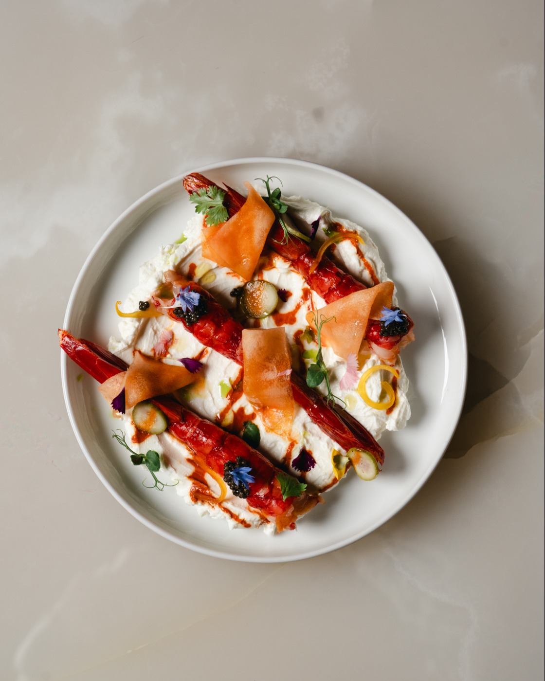 DSC00260.JPG DSC00260.JPG