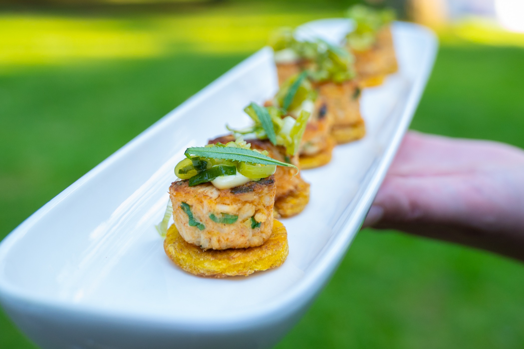 _DSC5133.jpg _DSC5133.jpg