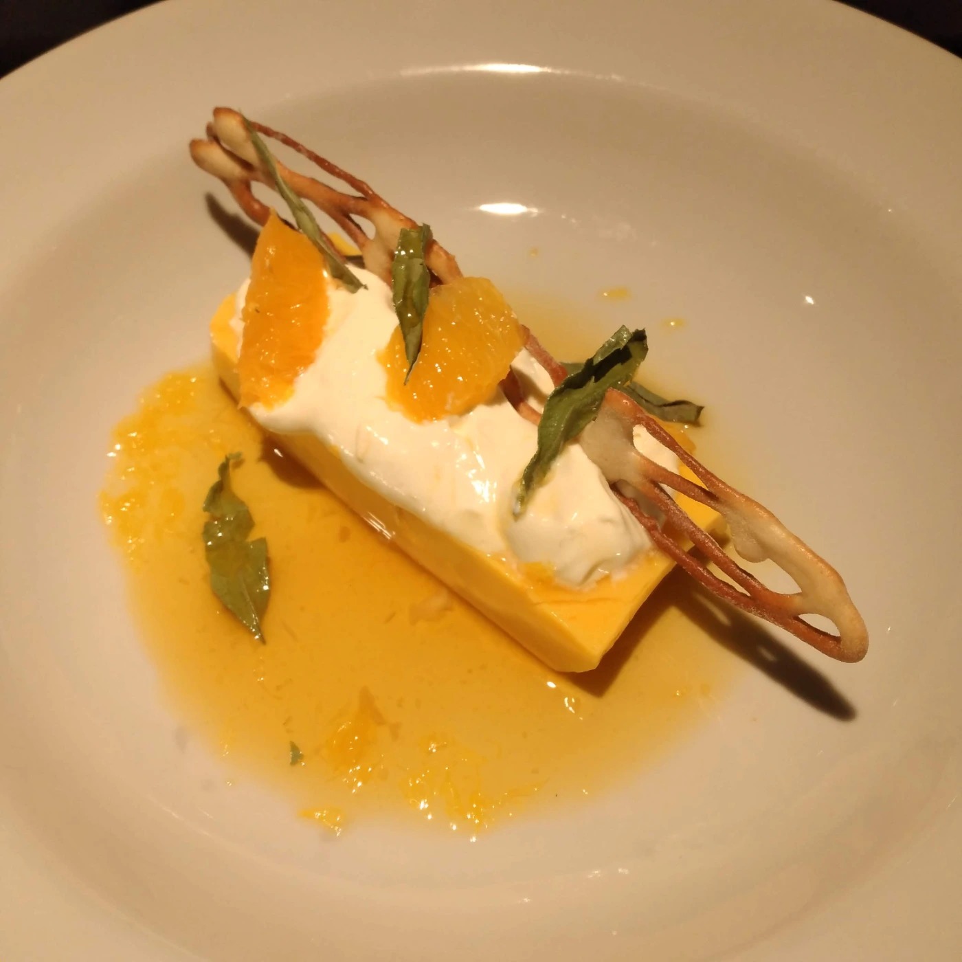 IMG_20210826_221215.jpg IMG_20210826_221215.jpg