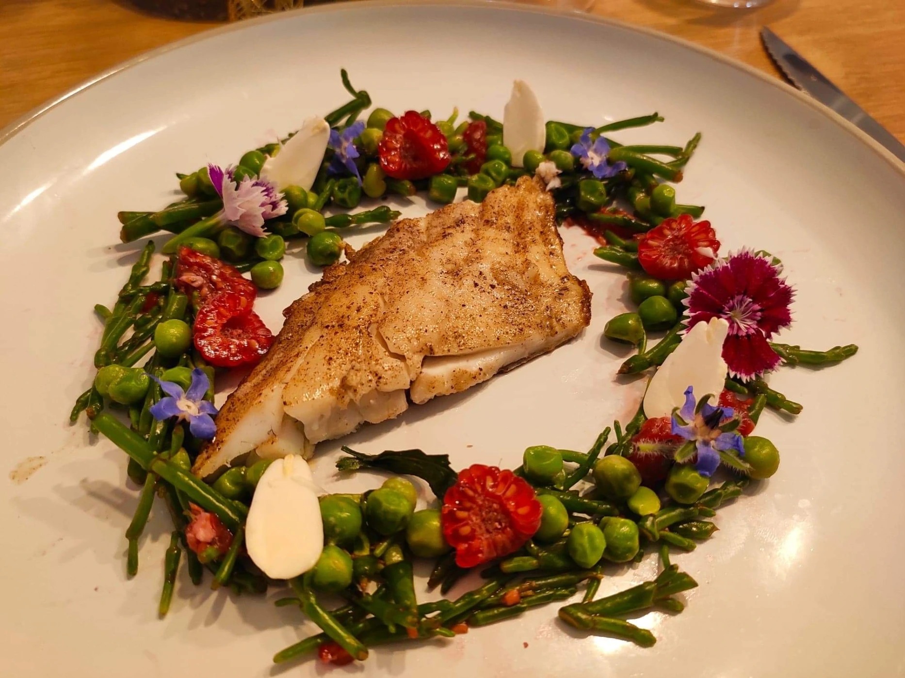 IMG_4146.JPG IMG_4146.JPG