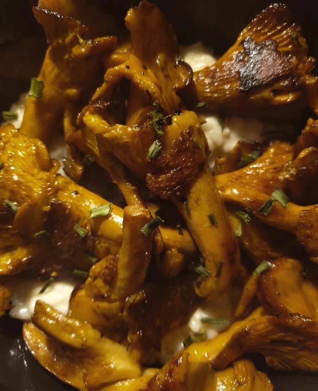 1000014979.jpg 1000014979.jpg