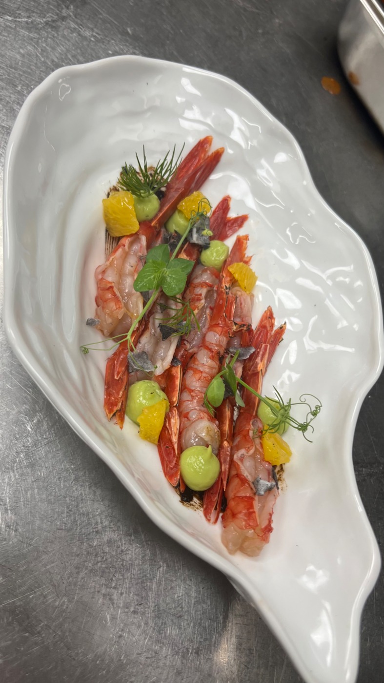 IMG_8211.jpeg IMG_8211.jpeg