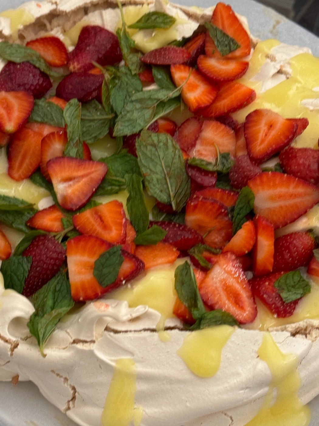 IMG_5813.jpeg IMG_5813.jpeg